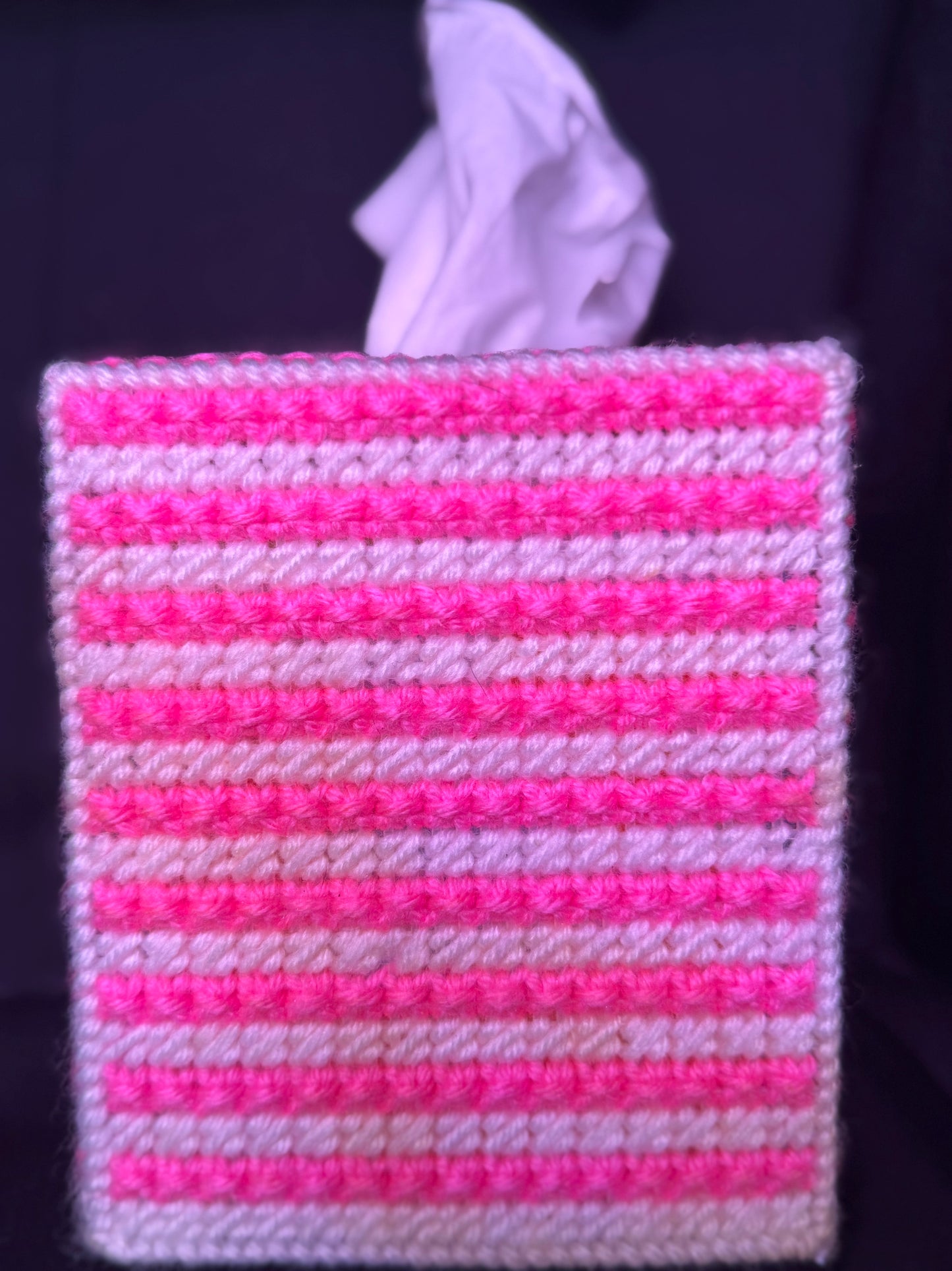 Plastic Canvas Tissue Box Cover